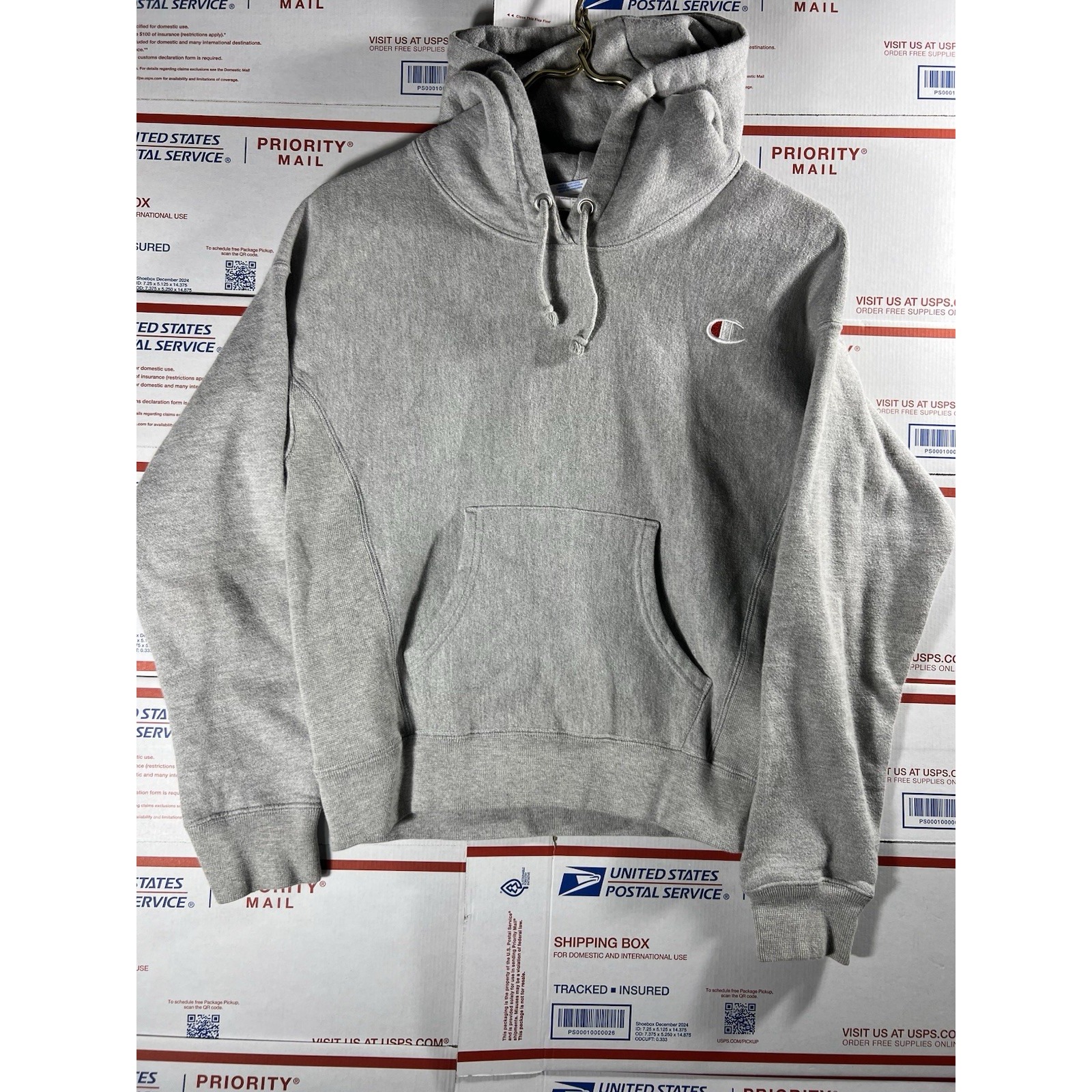Vtg Champion Reverse Weave Hoodie X-Small Gray Heavweight Fleece Sewn Logo Blank